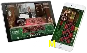 333M